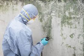 Best HVAC Mold Inspection and Cleaning  in Verona, PA